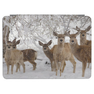 Mule Deer Wyoming iPad Air Cover
