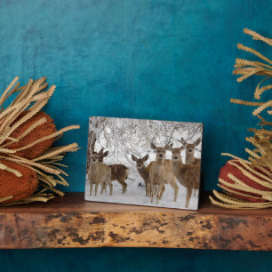 Mule Deer Wyoming Plaque