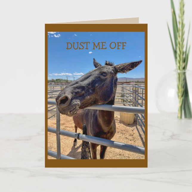 Mule donkey horse so friendly with straw card (Front)
