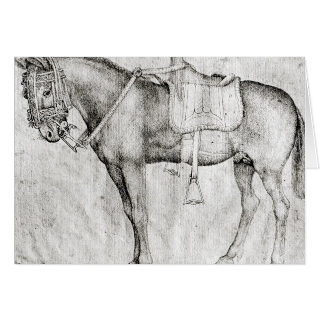 Mule, from the Vallardi Album (Front Horizontal)