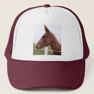 Mule-Headed Hat / Cap