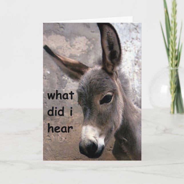 MULE-ISH 30th BIRTHDAY HUMOR Card (Front)