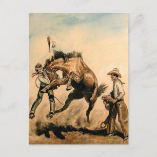 “Mule” Western Art by Will James Postcard