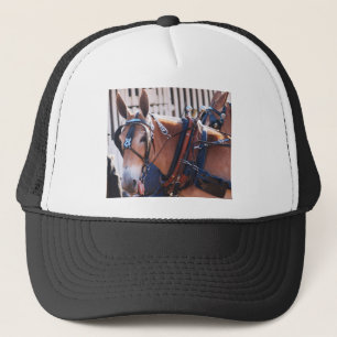 mules and donkeys 026 trucker hat