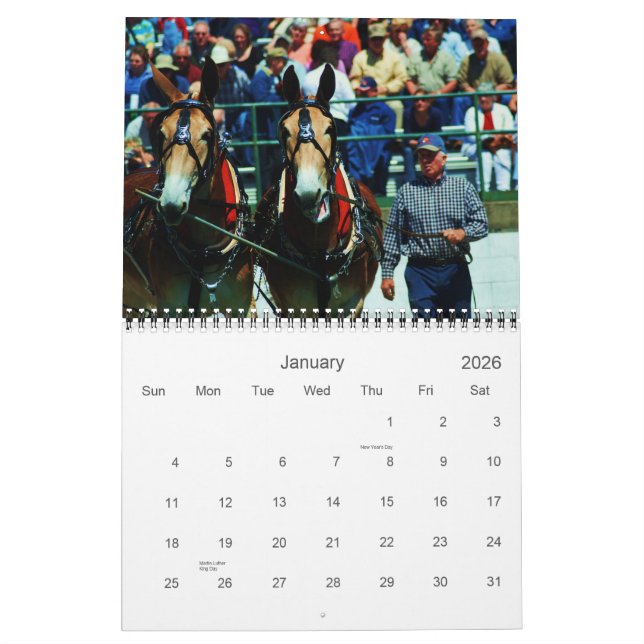 mules and donkeys calendar (Jan 2026)