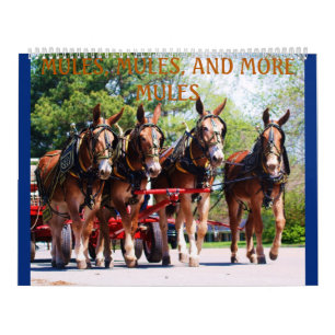 MULES, MULES, MULES CALENDAR