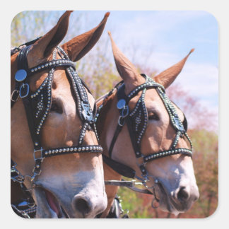 mules square sticker