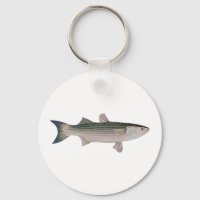 Mullet Logo
