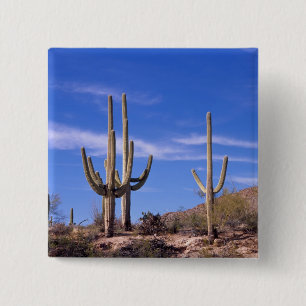 Multi armed Giant Saguaro cactus, Saguaro 15 Cm Square Badge