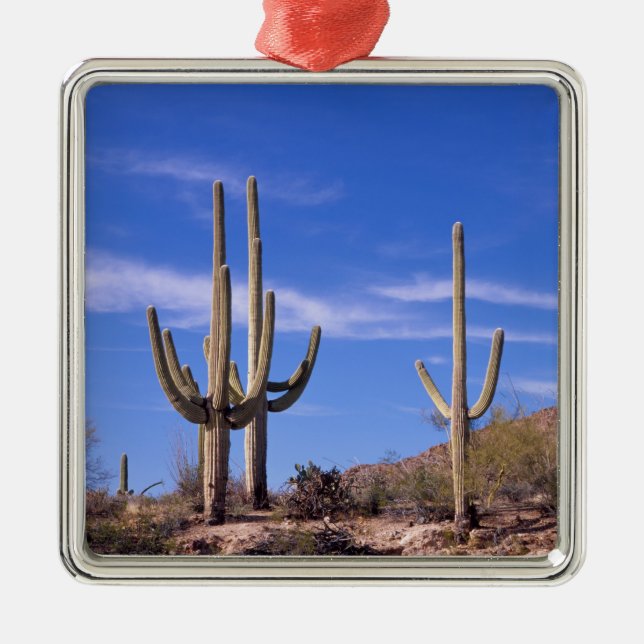 Multi armed Giant Saguaro cactus, Saguaro Metal Tree Decoration (Front)