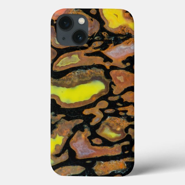 Multi Colored Dinosaur Bone Case-Mate iPhone Case (Back)