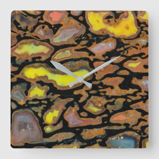 Multi Colored Dinosaur Bone Square Wall Clock (Front)