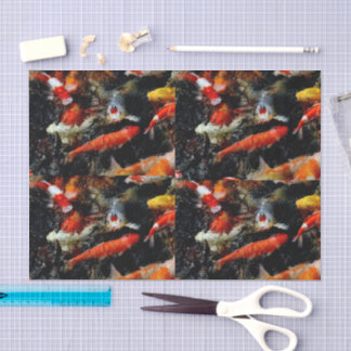 Multi Colored Koi Fish Pond Tissue Paper