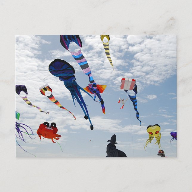 Multi Colour Kites Painting the sky Postcard (Front)
