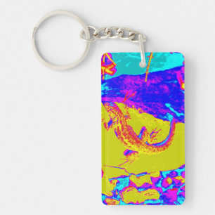 multi-colour lizard keychain