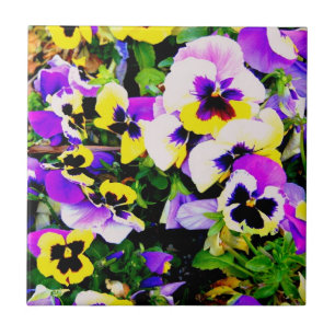 multi-colour pansies tile