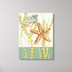 Multi-Colour Shell Party Canvas Print