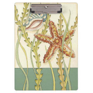 Multi-Colour Shell Party Clipboard