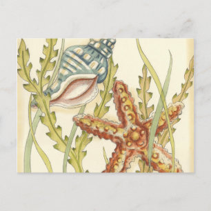 Multi-Colour Shell Party Invitation Postcard