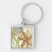 Multi-Colour Shell Party