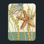 Multi-Colour Shell Party Magnet<br><div class="desc">Charikilia Zarris is a talented artist know for her ocean artwork. Her images are peaceful and calm relaxing you with every picture. Get this nautical piece of artwork with a starfish and a Conch shell being the centre of it all, bordered with beautiful kelp. This image will look great on...</div>