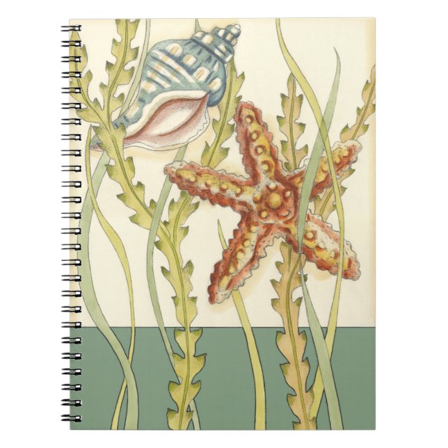 Multi-Colour Shell Party Spiral Notebook (Front)