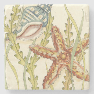 Multi-Colour Shell Party Stone Coaster