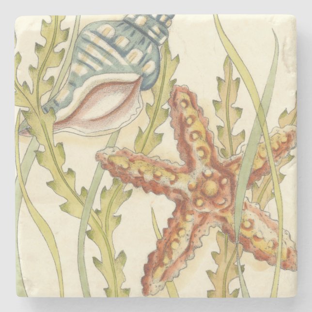Multi-Colour Shell Party Stone Coaster (Front)