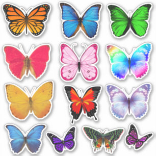 Multi-Coloured Butterfly Stickers