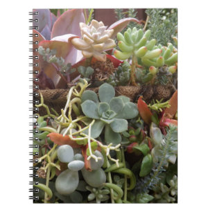 Multi-coloured-Cacti Spiral Notebook