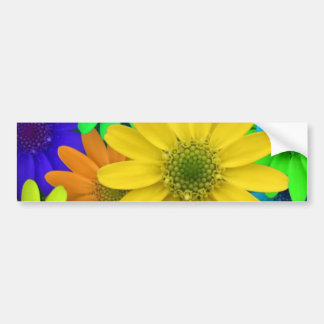 Multi Coloured Daisies Bumper Sticker