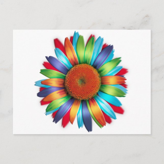Multi-coloured Daisy Postcard (Front)