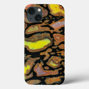 Multi Coloured Dinosaur Bone iPhone 13 Case