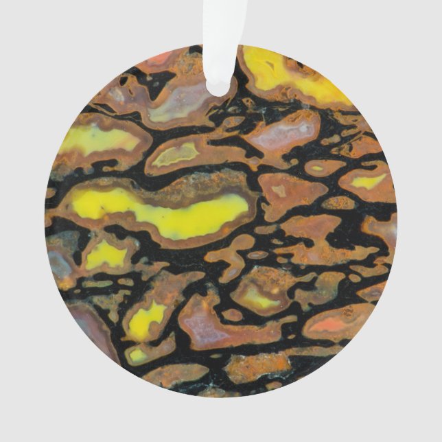 Multi Coloured Dinosaur Bone Ornament (Front)