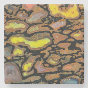 Multi Coloured Dinosaur Bone Stone Coaster