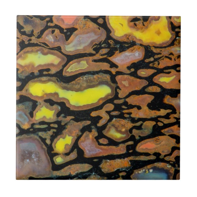 Multi Coloured Dinosaur Bone Tile (Front)