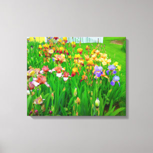 Multi Coloured Iris Flower Patch Canvas Print
