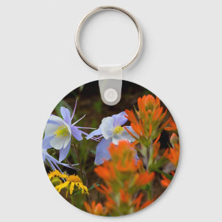 Multi-coloured Key Ring