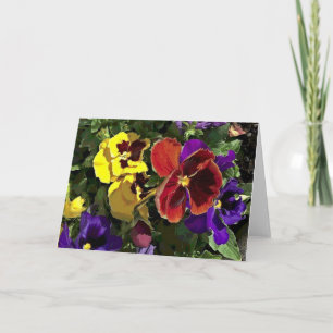 Multi Coloured Pansies Card