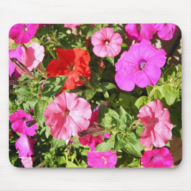 Multi-coloured Petunias Mouse Pad (Front)