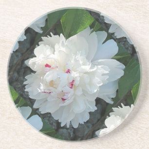 Multi Precious Peony Coaster