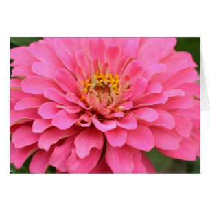 Multi-purpose pink flower card