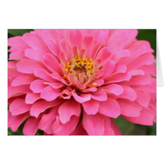 Multi-purpose pink flower card