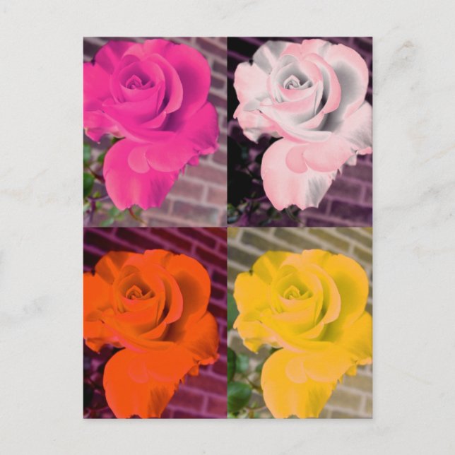 Multi Rainbow Girly Repeated Roses Postcard (Front)