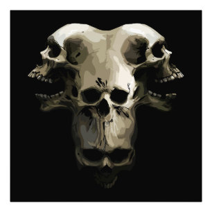 Multi-Skull Fusion Art Photo Print