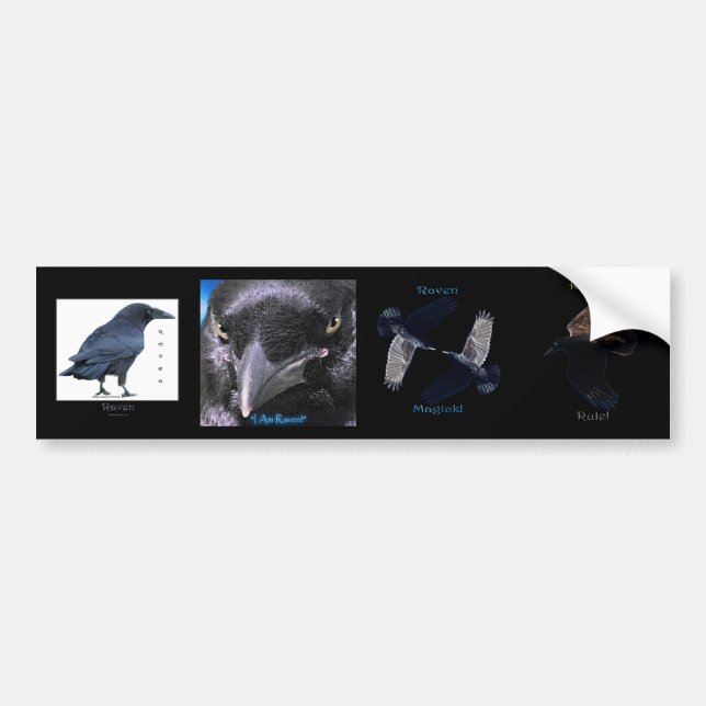 Multi-stickers III BLACK RAVEN Set Bumper Sticker (Front)