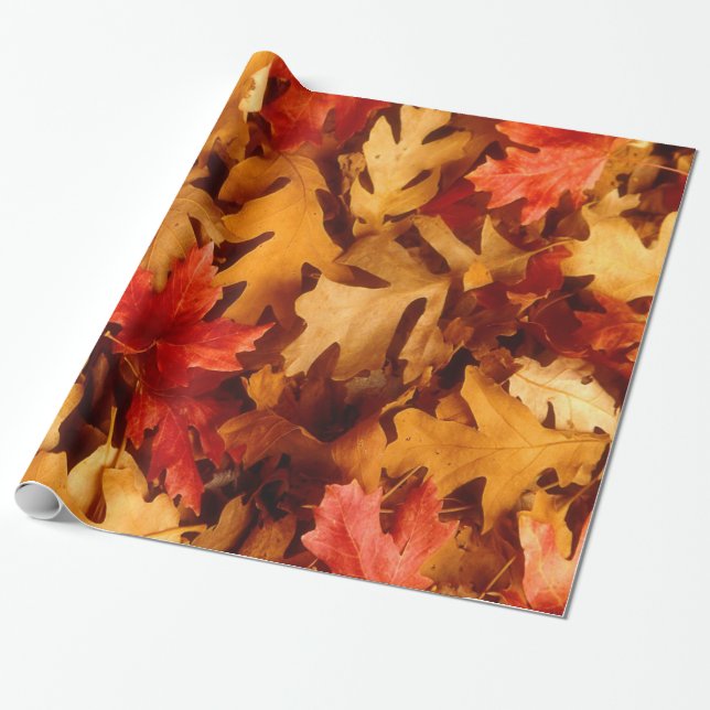 Multicolored Autumn Oak Leaves Wrapping Paper (Unrolled)