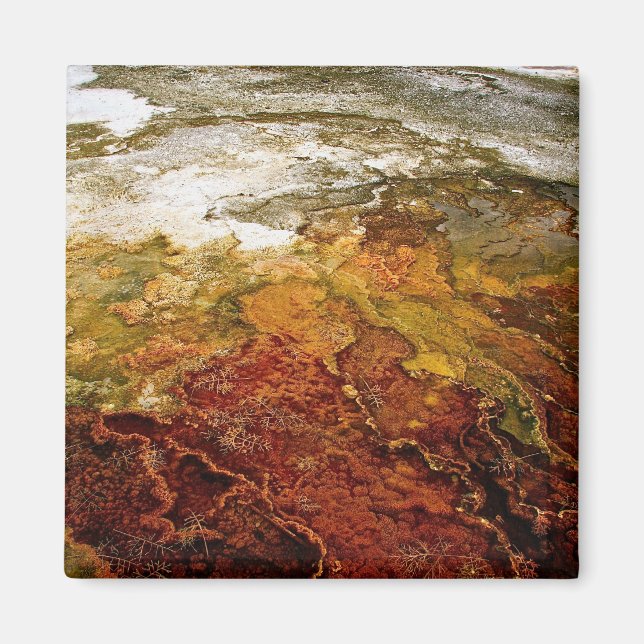 Multicolored mineral deposits in Yellowstone Magnet (Front)