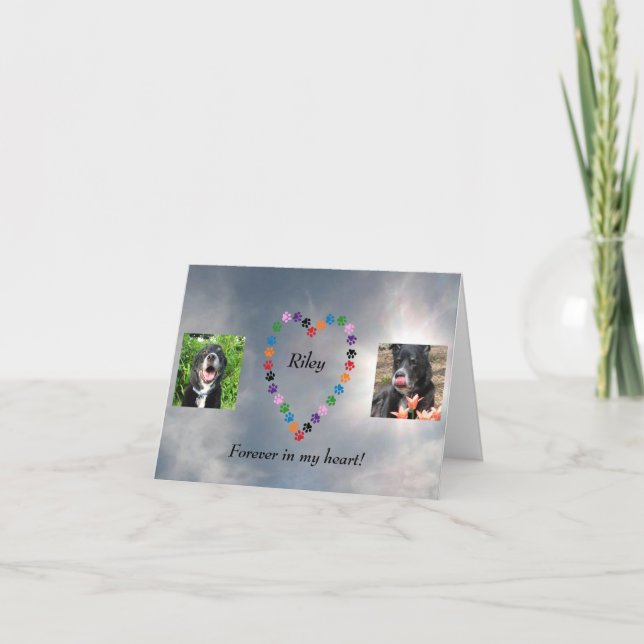 Multicolored Paw Print Heart Dog Sympathy  Card (Front)