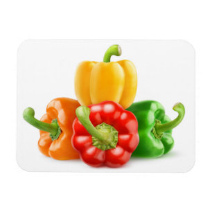 Multicolored peppers magnet